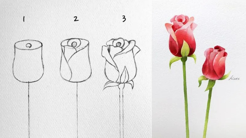 Kết hợp hoa hồng với các yếu tố khác