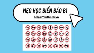 Mẹo Học Biển Báo B1 Đột Phá: Giải Mã Bản Chất Biển Báo Giao Thông Đường Bộ Và Nguyên Tắc Vàng