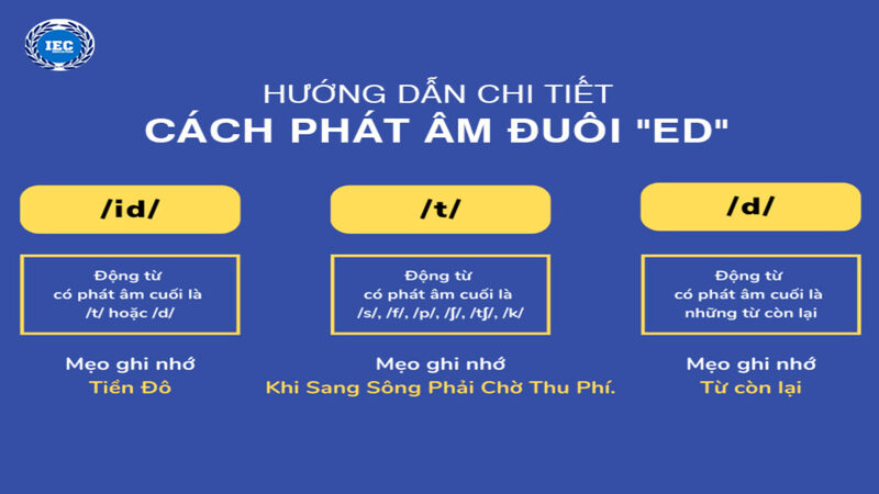 Phát Âm Đuôi ED - Điều Gì Khiến Người Học Đau Đầu?