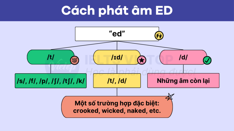 Câu Hỏi Thường Gặp (FAQ)