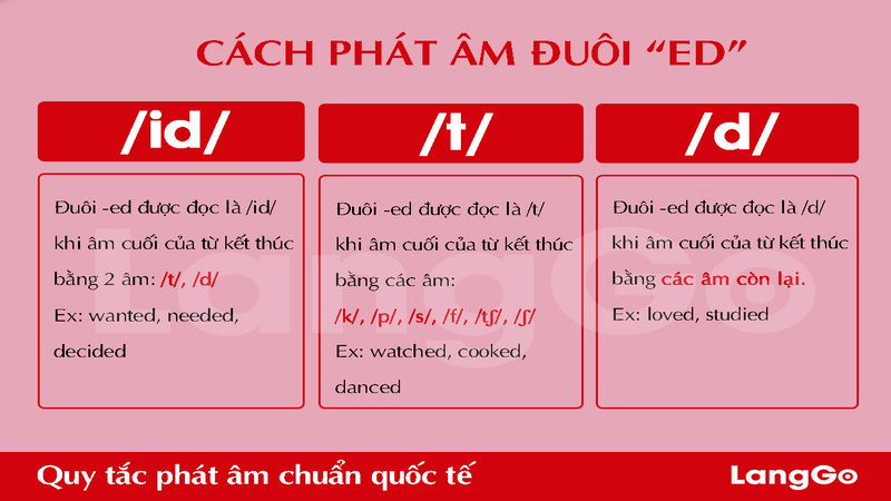 Nâng Cao: Ngoại Lệ & Các Mẹo Thực Chiến Cho Người Học Chuyên Sâu